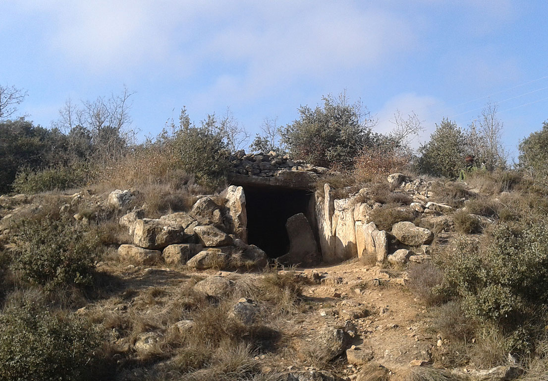 activ dolmenllobera 120114 1